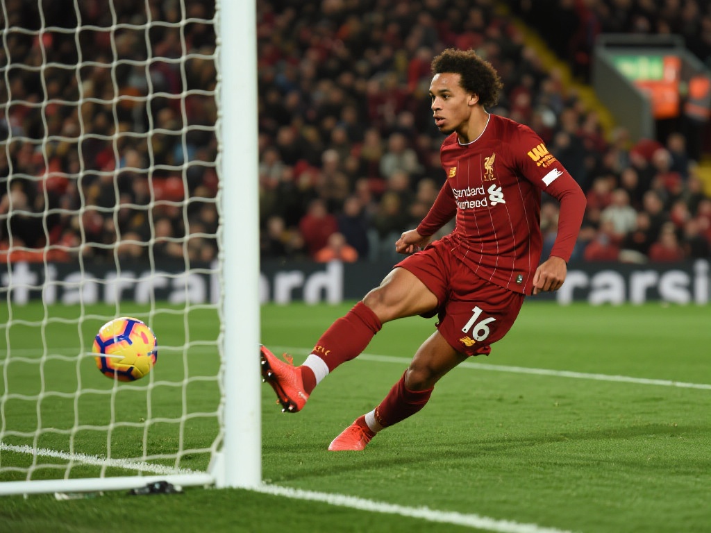 无疑为其他 无疑为其他