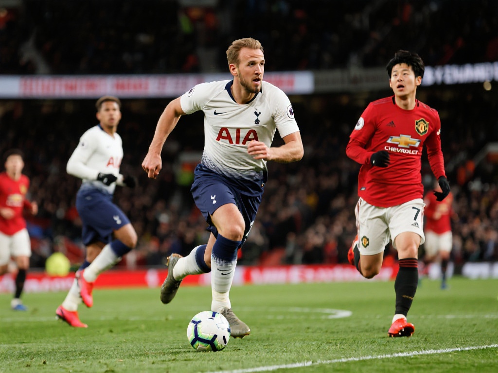 了多位国内 了多位国内